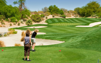 Investment Management