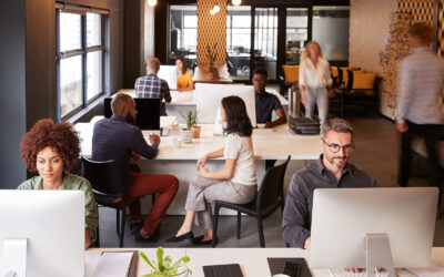 White Collar Job Seekers